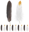 Set de "12 PLUMES INDIENNES " 2 couleurs ass.