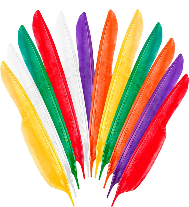 [3303P] "SET DE 12 PLUME INDIENNE" 35 cm - 6 coul. Ass.
