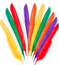 "SET DE 12 PLUME INDIENNE" 35 cm - 6 coul. Ass.