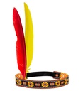 "BANDEAU D INDIEN AVEC 2 PLUMES"