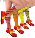"CHAUSSETTES RAYEES NEON" 4 couleurs ass.