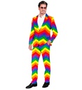 "COSTUME ARC EN CIEL PARTY FASHION" (veste, pantalon)