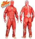 "ANATOMIE FAST COSTUME" (veste, pantalon, gants, masque)