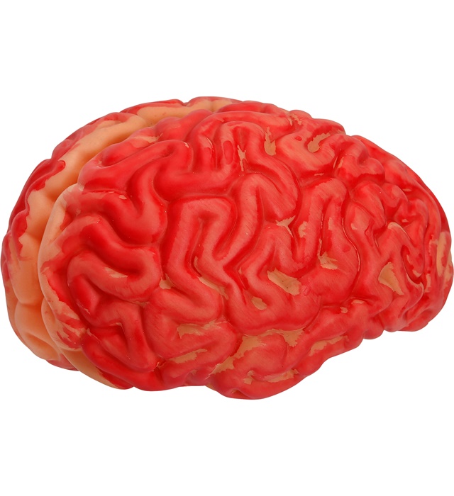 [46906] "CERVEAU SANGLANT" taille humaine
