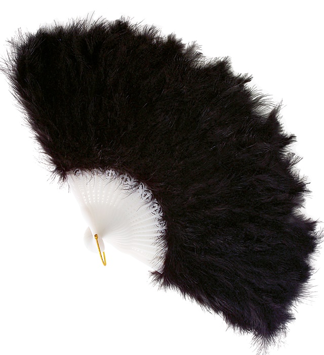 "EVENTAIL A PLUMES" noir