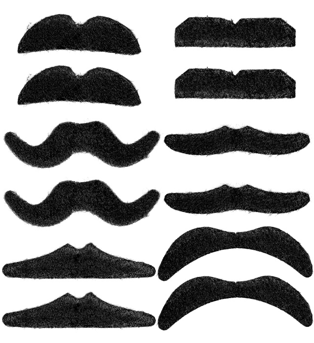 [00321] Set de "12 MOUSTACHES NOIRES PARTY" 6 styles assortis