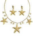 "COLLIER ET BOUCLES D'OREILLE SIRENE"