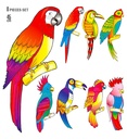 Set de "8 OISEAU TROPICAL" 45 cm - 8 styles