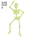 "SQUELETTE AMOVIBLE 3D PHOSPHORESCENT" 92 cm