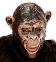 "3/4 MASQUE CHIMPANZE AVEC OUVERTURE POUR LA BOUCHE POUR ENFANT"