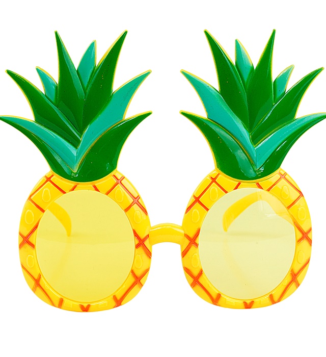 "LUNETTES ANANAS"