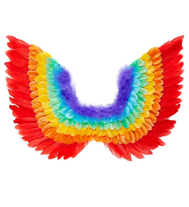 [00649] "AILES ARC EN CIEL EN PLUMES" 60x40 cm