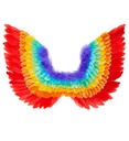 "AILES ARC EN CIEL EN PLUMES" 60x40 cm