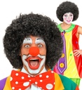 "PERRUQUE CLOWN NOIRE" en sachet