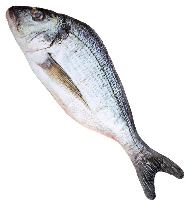 [00812] "POISSON" 55 cm