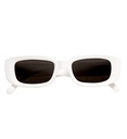 "LUNETTES BLANCHES CHANTEUR"