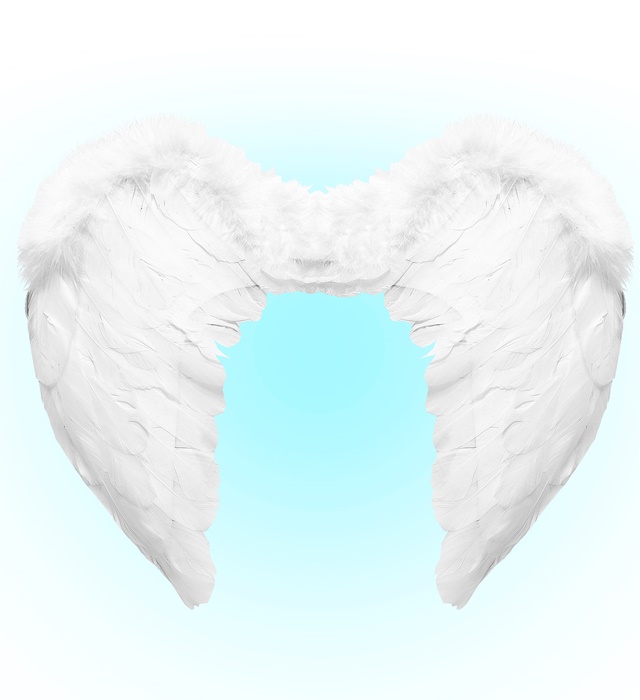 [01037] "AILES EN PLUMES BLANCHES" 50x40 cm