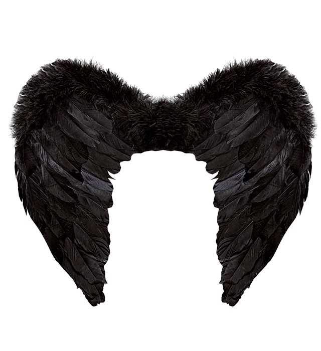 [01038] "AILES A PLUMES NOIRES" 50x40 cm