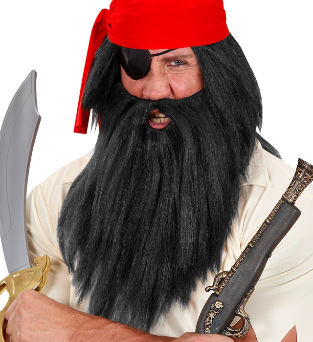 "PERRUQUE NOIRE PERSONNAGE AVEC BARBE" en sachet