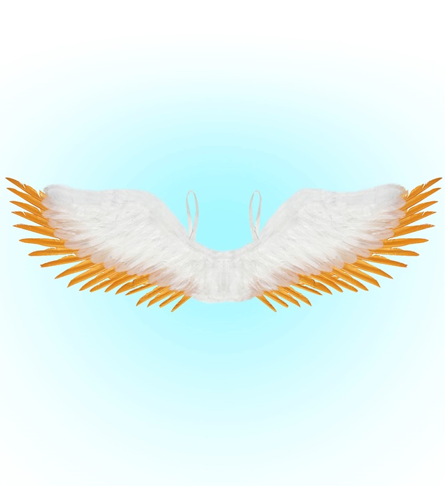 "AILES PLUMES BLANC ET OR" 100x25 cm