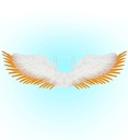 "AILES PLUMES BLANC ET OR" 100x25 cm