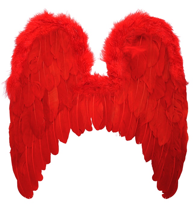 [01199] "AILETTES ROUGES AVEC PLAQUETTES MARABOU & " 46x48 cm