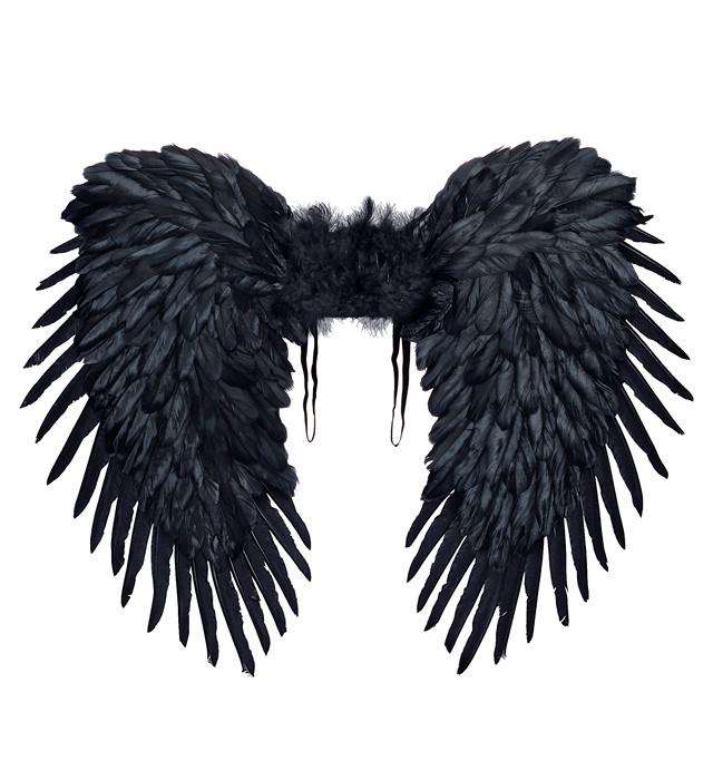 [01200] "AILES PLUMES NOIRES" 80x60 cm