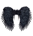 "AILES PLUMES NOIRES" 80x60 cm