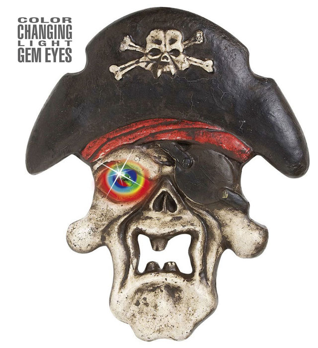 "CRANE PIRATE AVEC OEIL GEMME LUMINEUX QUI CHANGE DE COULEUR" 36x42 cm