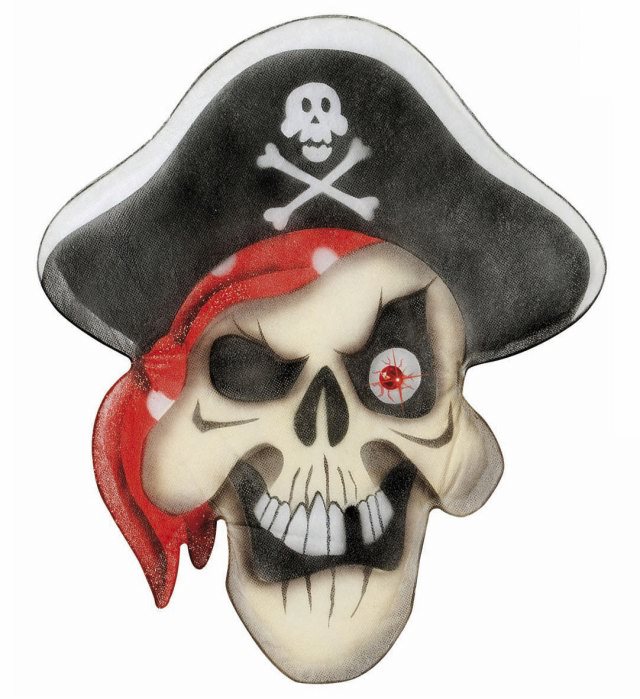 "CRANE PIRATE EN CHIFFON AVEC OEILGEMME" 48x56 cm