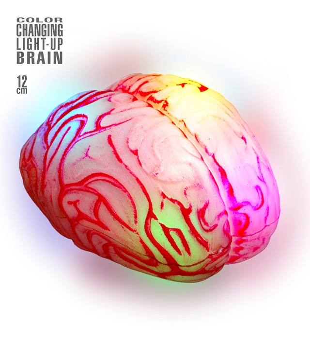 "CERVEAU LUMINEUX CHANGEANT DE COULEUR"