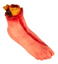 "PIED COUPE GRANDEUR NATURE" 21 cm