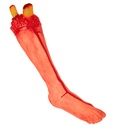 "JAMBE COUPEE GRANDEUR NATURE" 49 cm