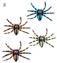 Set de "4 ARAIGNEES COLORES" 7,5 cm - 4 coul.