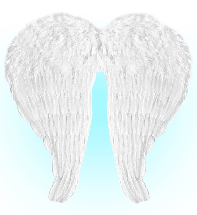 "AILES EN PLUMES BLANCHES MOLDABLES" 60x46 cm
