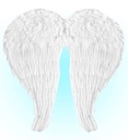 "AILES EN PLUMES BLANCHES MOLDABLES" 60x46 cm