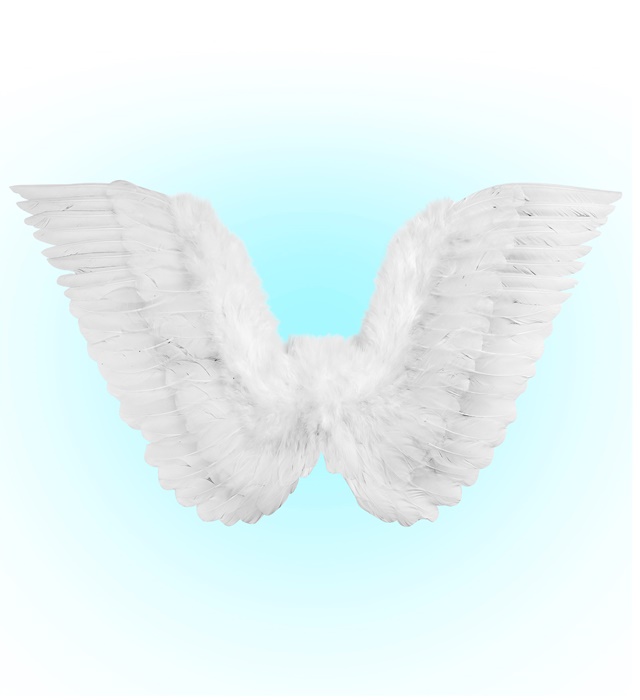 "AILES AVEC PLUMES BLANCHES" 86x31cm