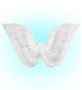 "AILES AVEC PLUMES BLANCHES" 86x31cm