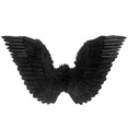 "AILES NOIRES A PLUMES" 78x36 cm