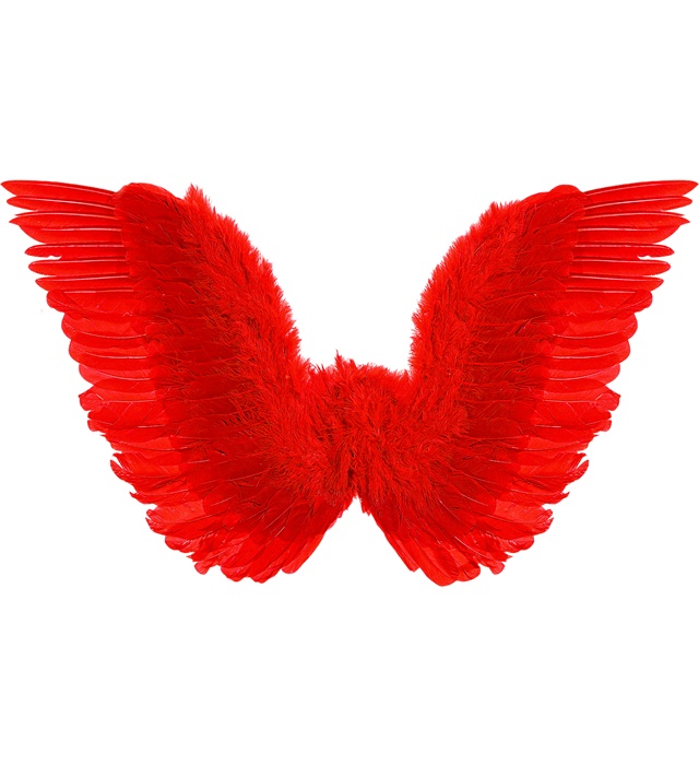 "AILES ROUGES A PLUMES" 78x36 cm