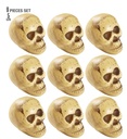 Set de "9 CRÂNE EN SACHET" 5 cm