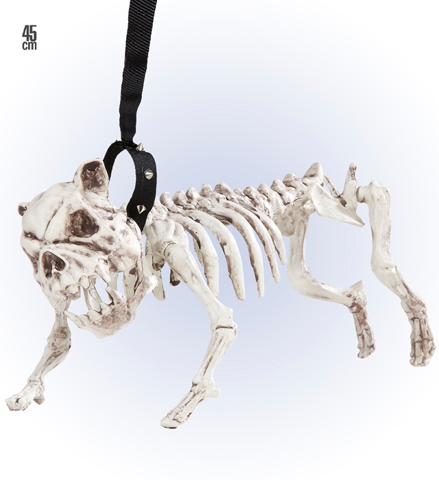 "CHIEN SQUELETTE AVEC LAISSE" 45 cm