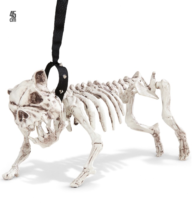 [01373] "CHIEN SQUELETTE AVEC LAISSE" 45 cm