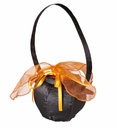 "SAC CHAUDRON DE SORCIERE"