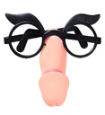 "LUNETTES ZIZI"