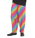"PANTALON BAGGY 80'S - ARC -EN -CIEL"