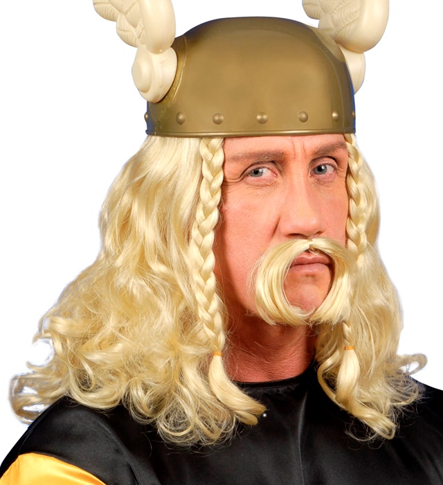 "PERRUQUE GAULOIS AVEC MOUSTACHE" en boÎte