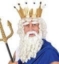 "PERRUQUE DIEU DE L'OLYMPE AVEC LOCKS, BARBE, MOUSTACHE & SOURCILS" en boite