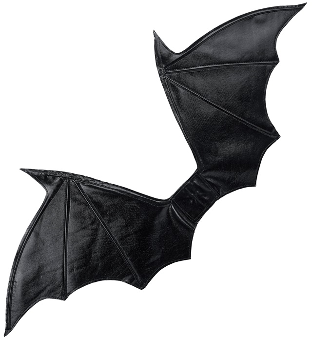 "AILES CHAUVE SOURIS/ DIABLE NOIR" moldables 84x36 cm