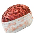 "COUVRE-CHEF CERVEAU EVA"